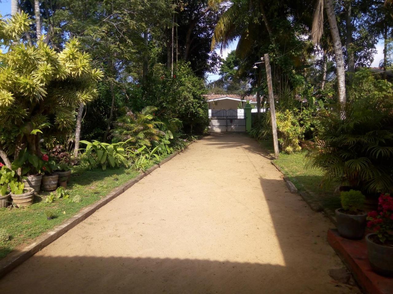 Shenya Villa Bentota Bagian luar foto